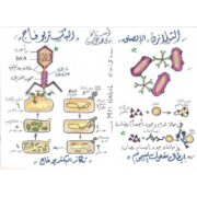 مذكرة رسومات مادة الاحياء للصف الثالث الثانوى