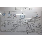 اهم رسومات منهج الاحياء بخط اليد لن يخرج منها الامتحان للصف الثالث الثانوى