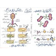 مراجعة جميع رسومات مادة الاحياء للصف الثالث الثانوى