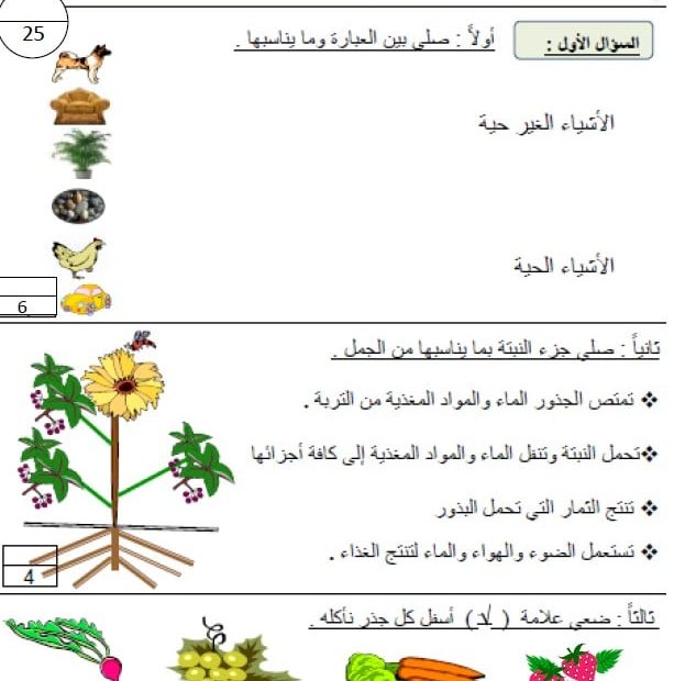 اختبار تجريبي العلوم المتكاملة الصف الأول