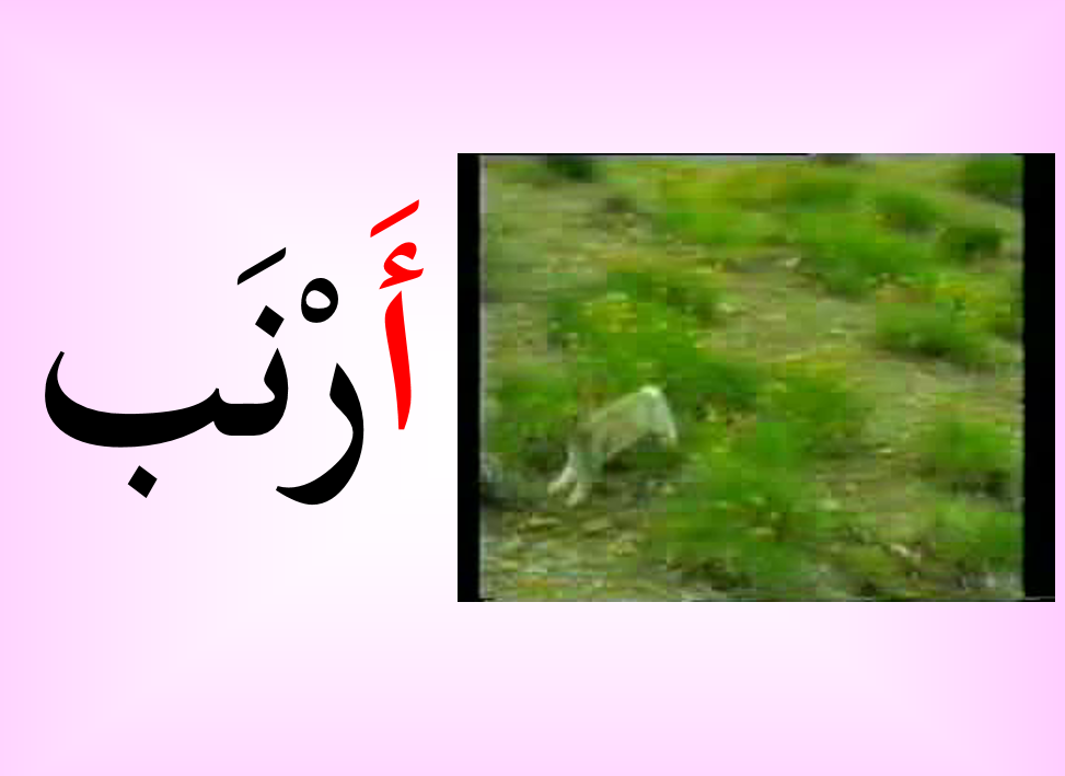 ملف حرف الألف اللغة العربية الصف الأول - بوربوينت
