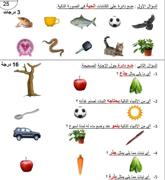 اختبار تجريبي العلوم المتكاملة الصف الأول