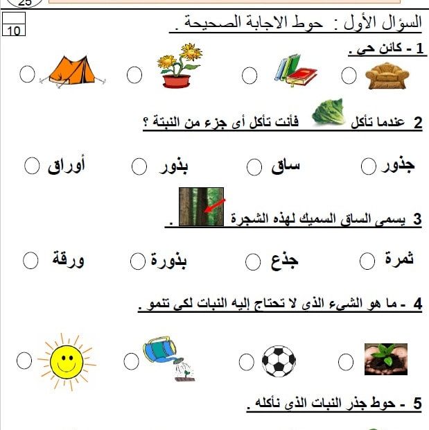 اختبار التقويم الأول العلوم المتكاملة الصف الأول