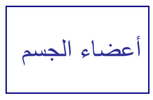 اللغة العربية بوربوينت درس أعضاء الجسم لغير الناطقين بها للصف
