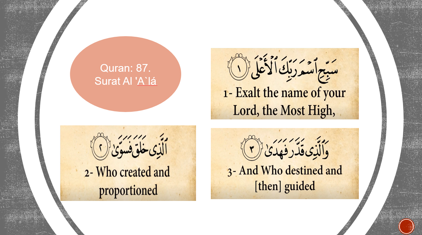 بوربوينت درس Surat Al Alá لغير الناطقين باللغة العربية للصف الرابع مادة التربية الاسلامية