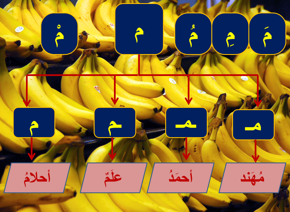 بوربوينت الحروف الهجائية للصف الاول مادة اللغة العربية 