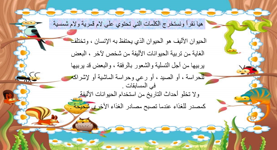 بوربوينت اللام الشمسية واللام القمرية للصف الثاني مادة اللغة العربية