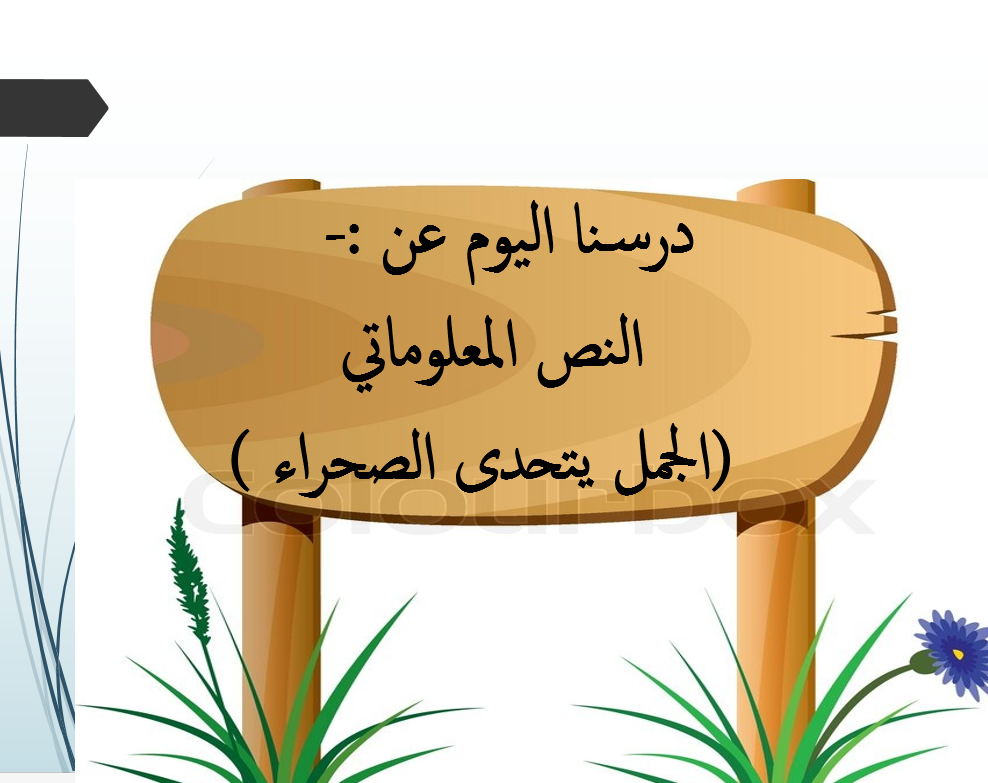بوربوينت النص المعلوماتي الجمل يتحدى الصحراء للصف الرابع مادة اللغة العربية 