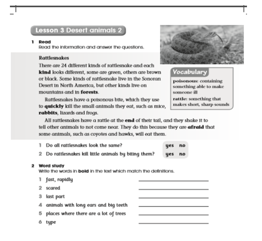 بوربوينت Lesson desert animals 2 للصف الرابع مادة اللغة الانجليزية 