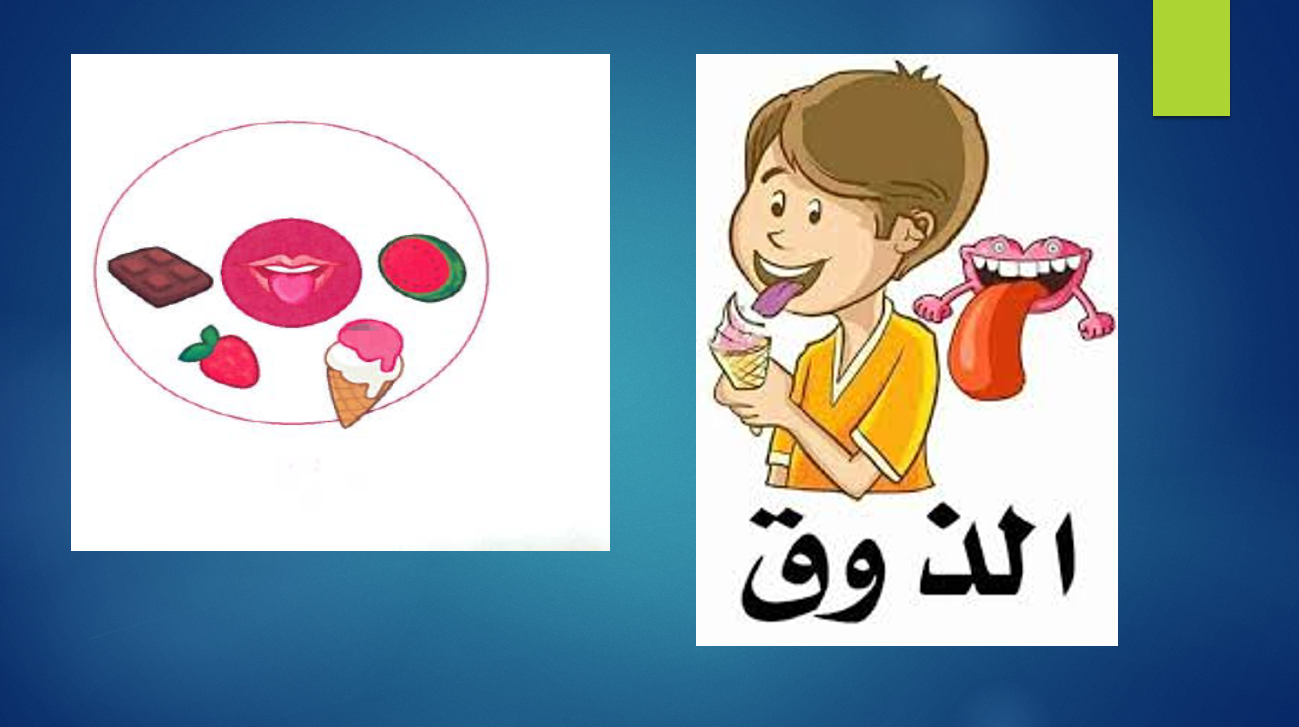 بوربوينت الحواس الخمس لغير الناطقين بها للصف الثاني مادة اللغة العربية