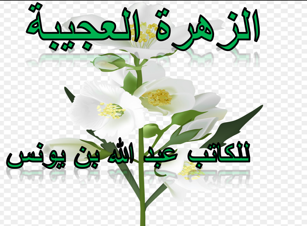درس الزهرة العجيبة الصف الثالث مادة اللغة العربية - بوربوينت 