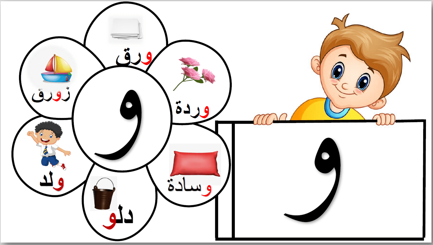 درس حرف الواو بالحركات والمدود الصف الاول مادة اللغة العربية  