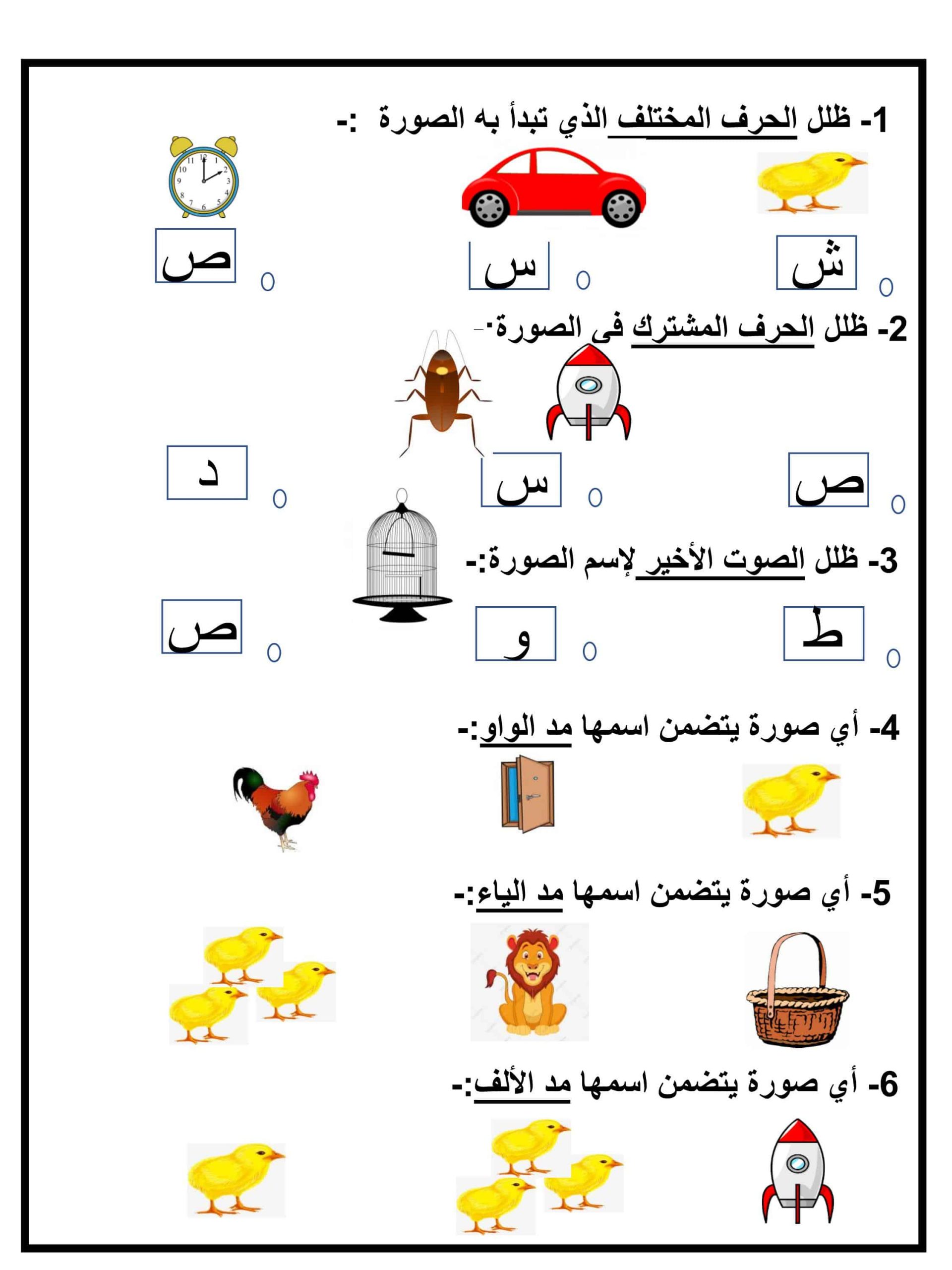 ورقة عمل و تدريبات حرف الصاد للصف الاول مادة اللغة العربية
