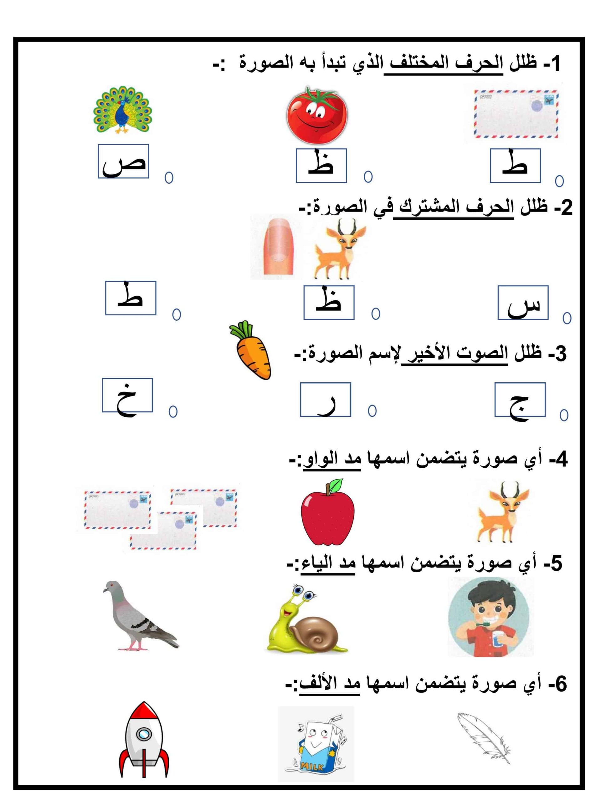 ورقة عمل و تدريبات حرف الظاء للصف الاول مادة اللغة العربية