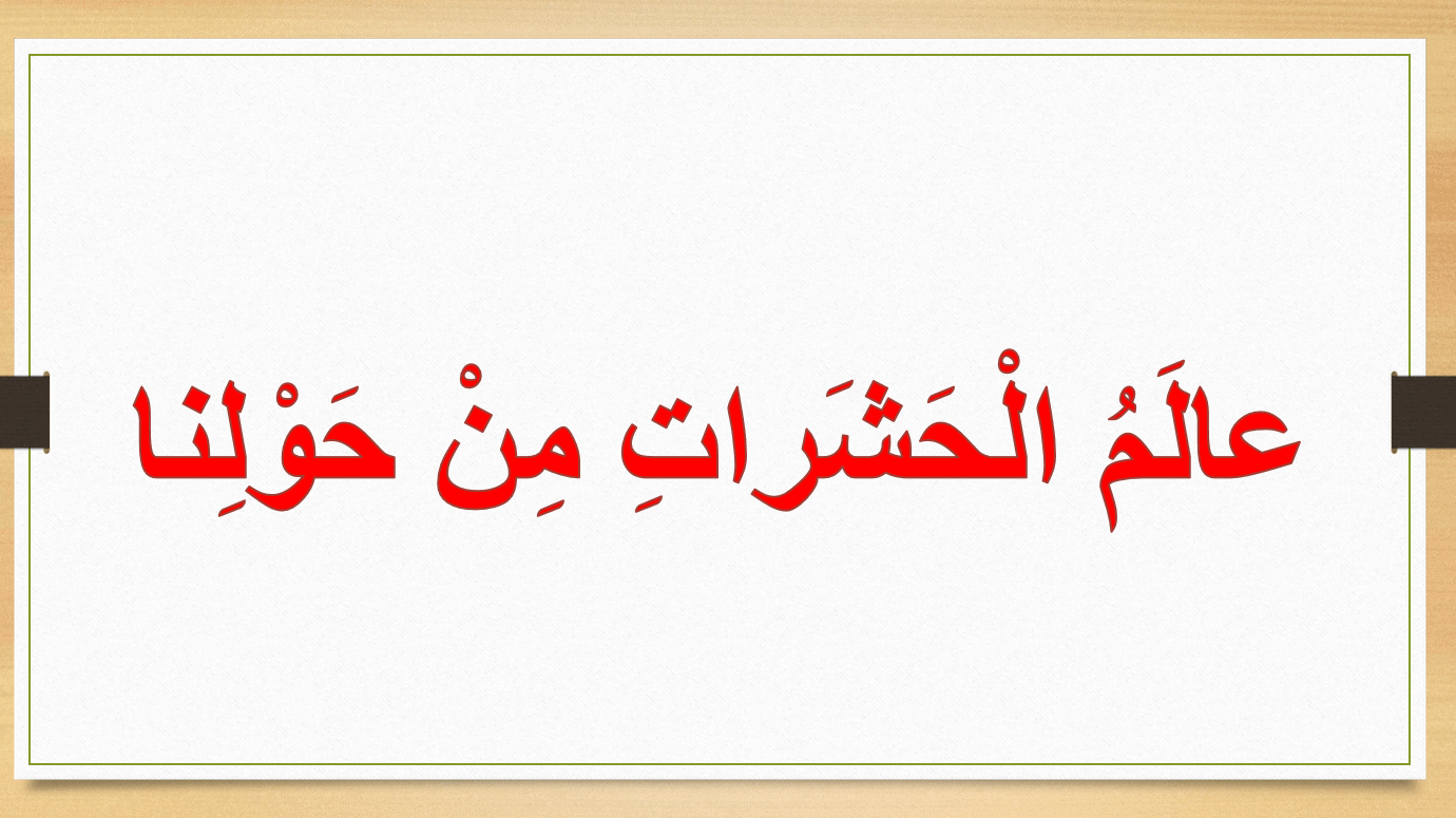 مفردات وتراكيب درس عالم الحشرات الصف الثاني مادة اللغة العربية - بوربوينت 