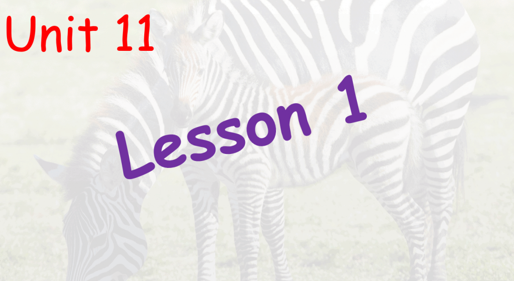درس Unit 11 Lesson 1 الصف السادس مادة اللغة الإنجليزية - بوربوينت 