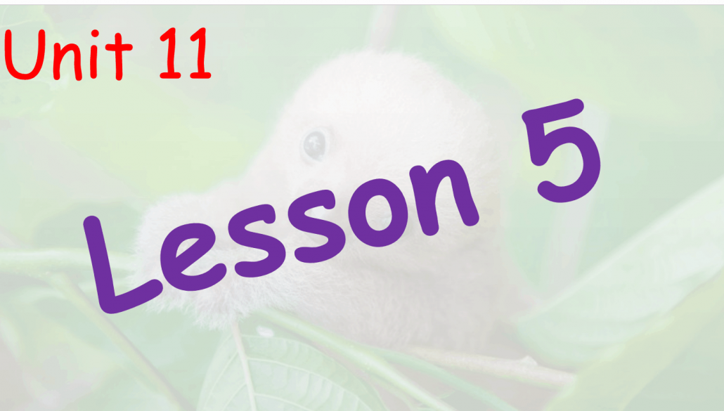 حل درس Unit 11 Lesson 5 الصف السادس مادة اللغة الإنجليزية - بوربوينت