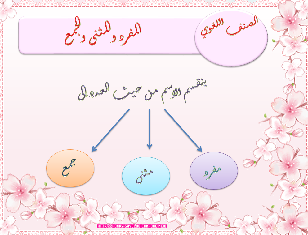 درس المفرد والمثنى والجمع الصف الثاني مادة اللغة العربية - بوربوينت