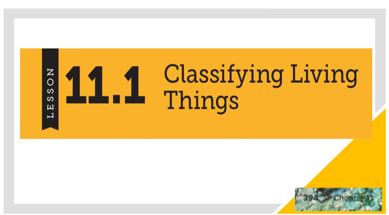 درس Classifying of Living things بالإنجليزي الصف السادس مادة العلوم المتكاملة - بوربوينت 