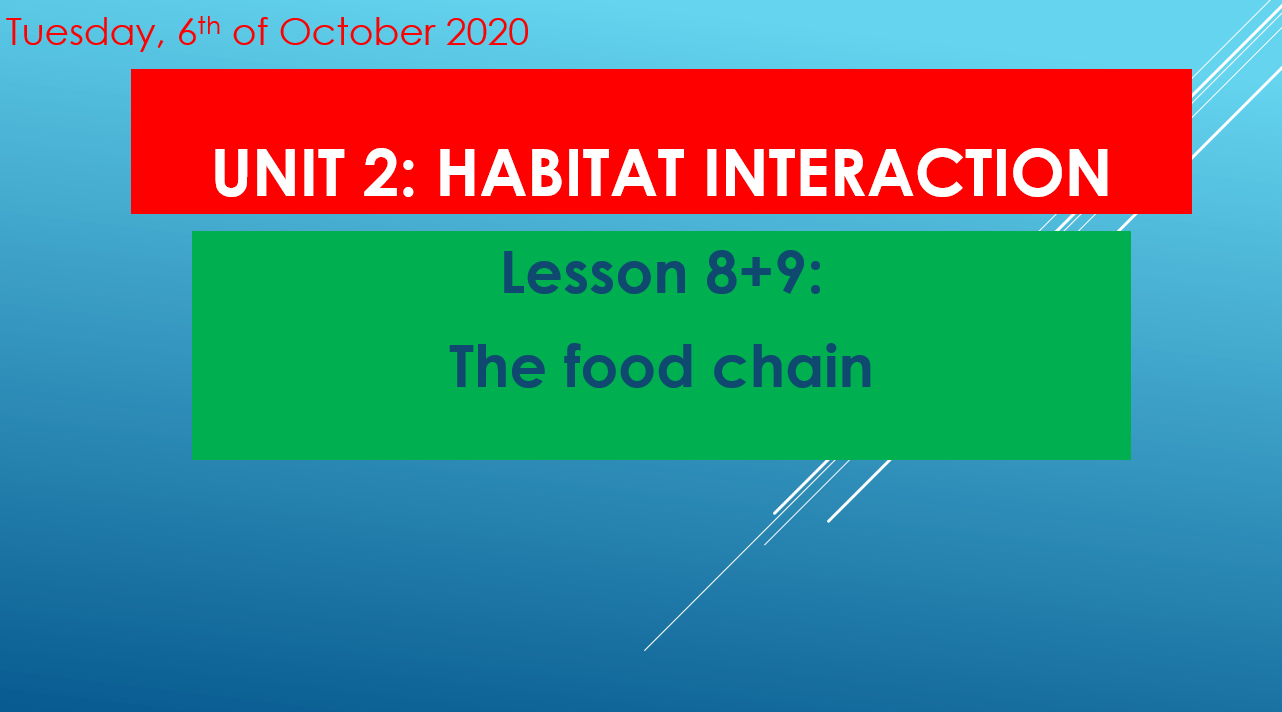 حل درس Unit 2 The food chain اللغة الإنجليزية الصف التاسع - بوربوينت