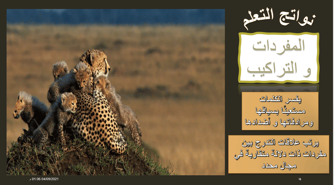 المفردات و التراكيب درس النمر الأرقط الصف الرابع مادة اللغة العربية - بوربوينت