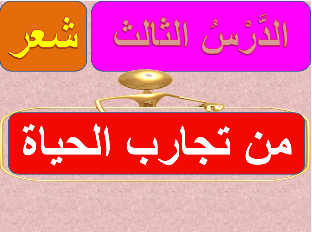 حل درس من تجارب الحياة اللغة العربية الصف الثامن - بوربوينت