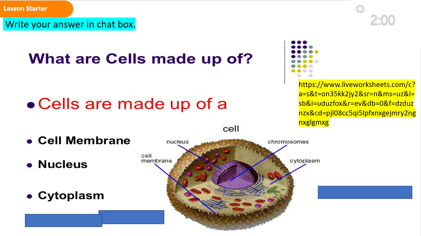 درس cell investigation العلوم المتكاملة الصف السادس - بوربوينت 