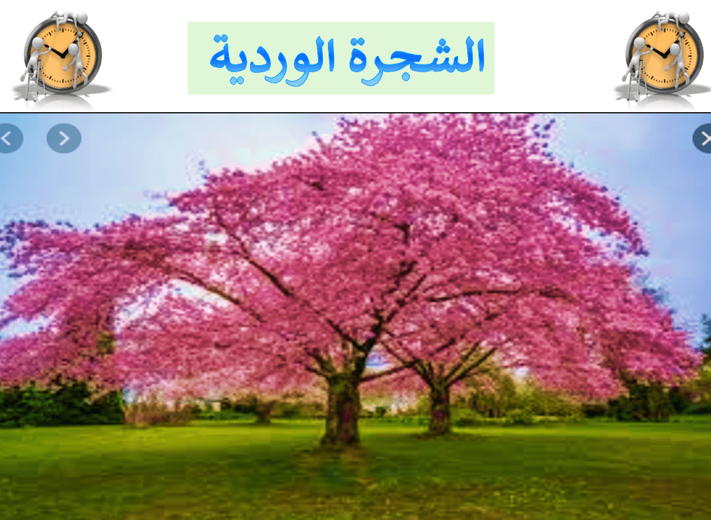 مفردات درس الشجرة الوردية اللغة العربية الصف الخامس - بوربوينت