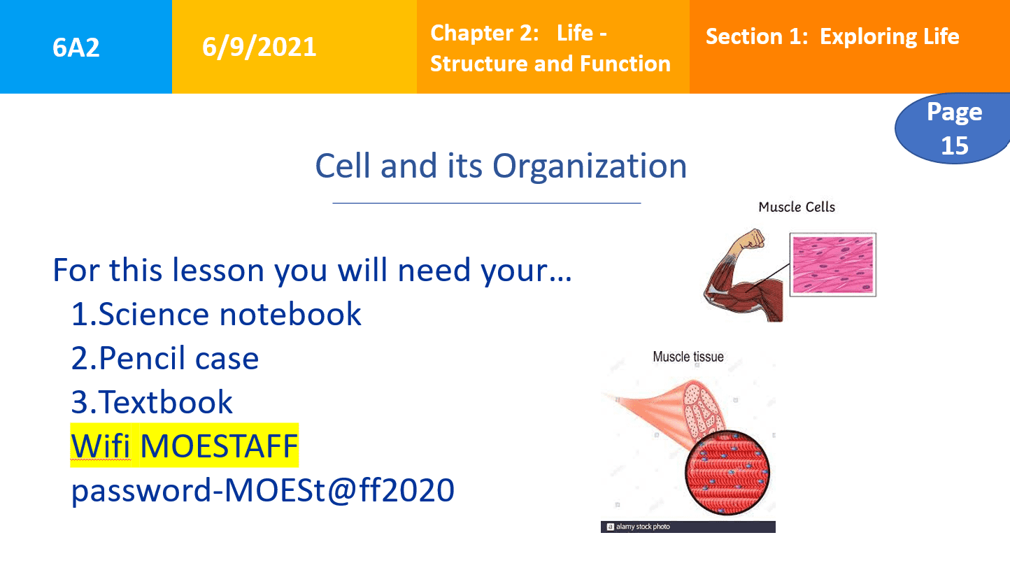 درس Cell and its Organization العلوم المتكاملة الصف السادس - بوربوينت