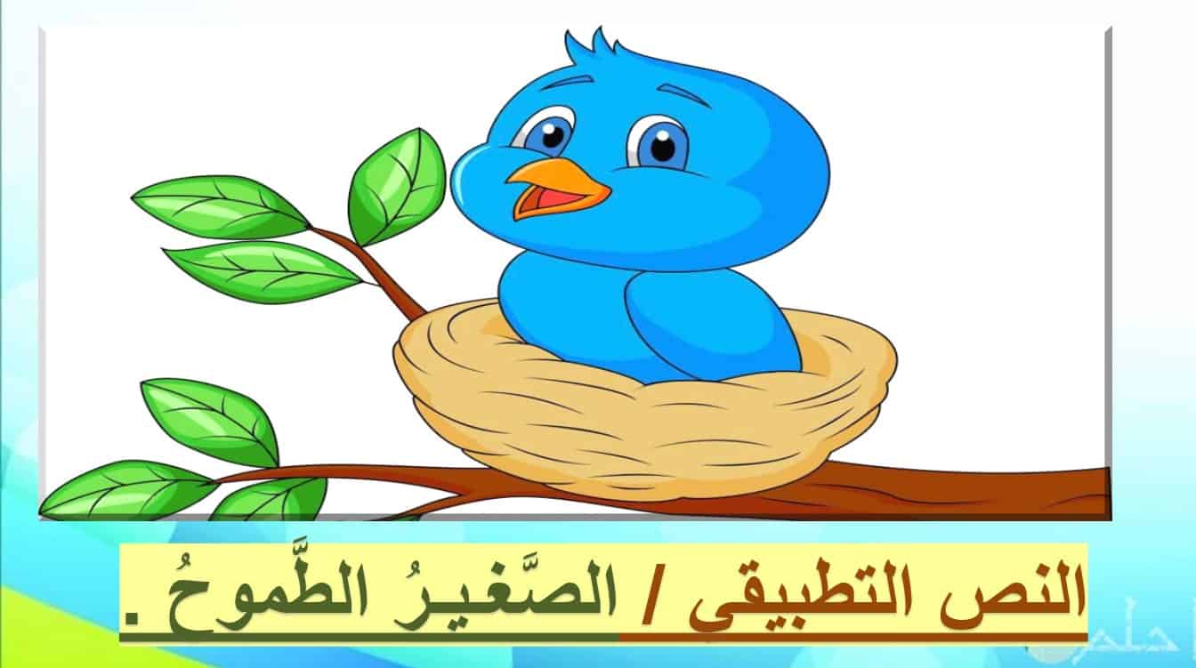 درس الصغير الطموح اللغة العربية الصف الثالث - بوربوينت