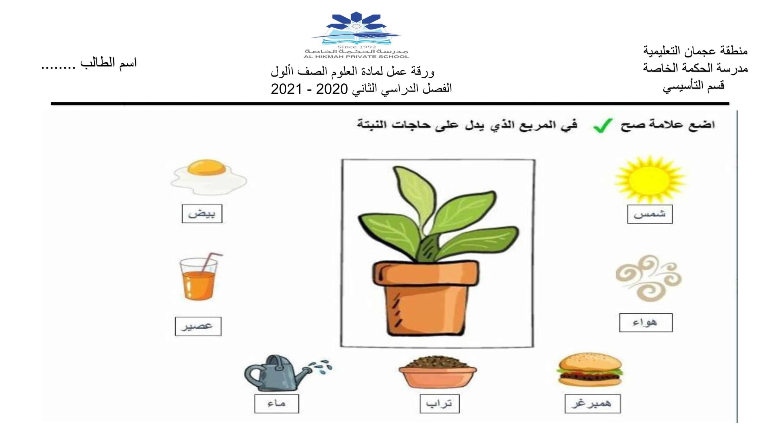 أوراق عمل متنوعة العلوم المتكاملة الصف الأول