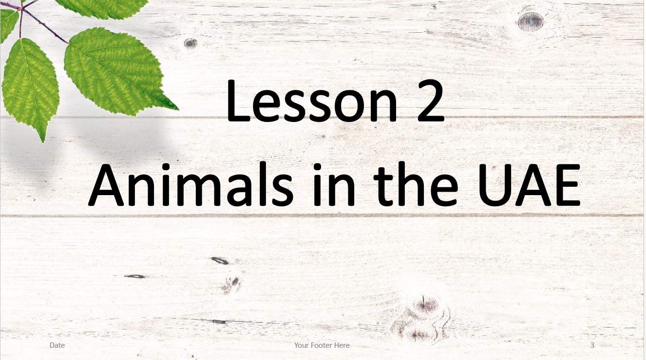 حل درس Animals in the UAE اللغة الإنجليزية الصف الثامن - بوربوينت