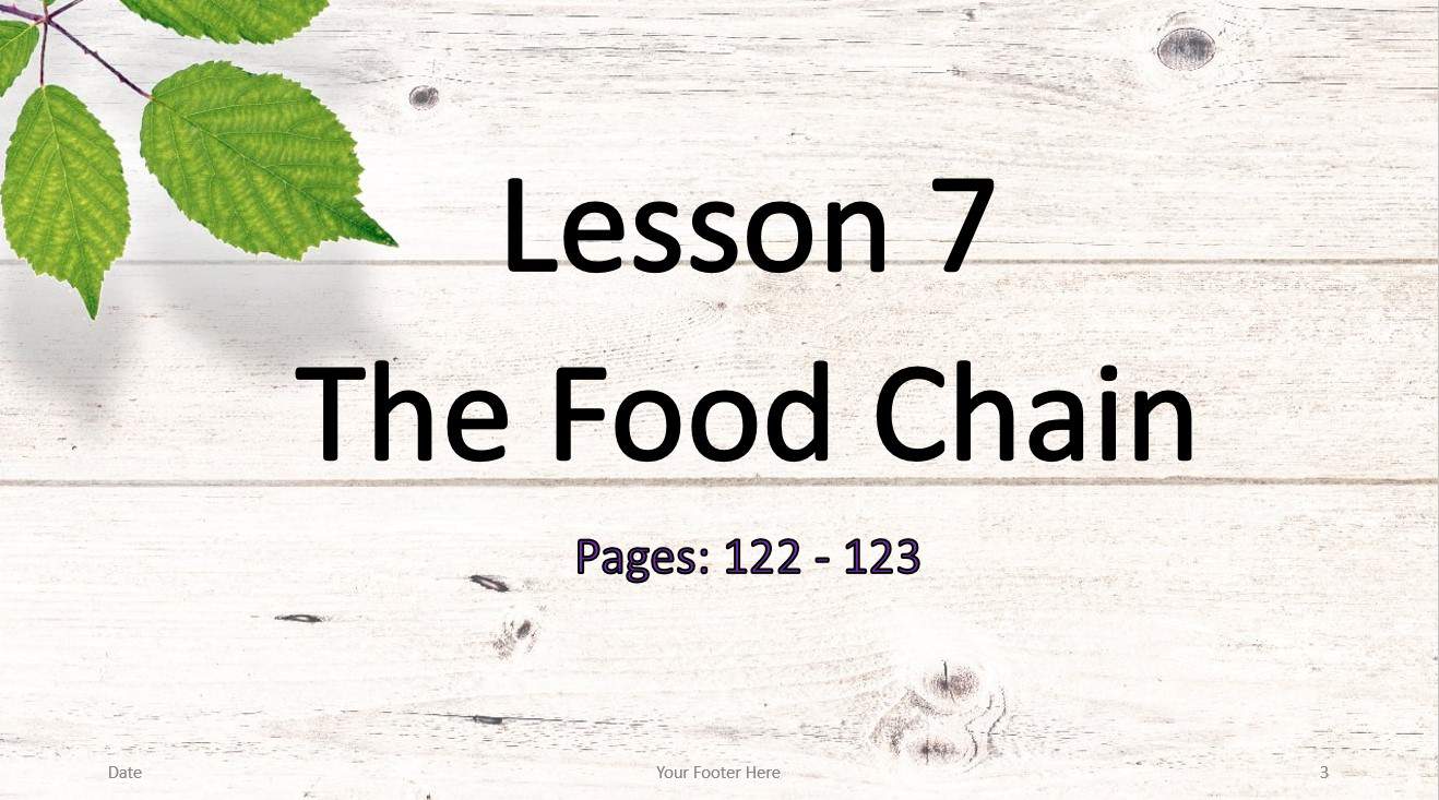 حل درس The Food Chain اللغة الإنجليزية الصف الثامن - بوربوينت