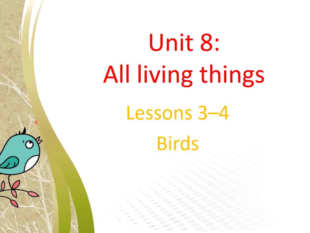 حل درس Birds اللغة الإنجليزية الصف السابع - بوربوينت