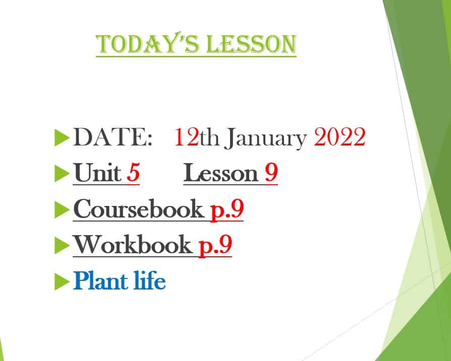 حل درس Plant life اللغة الإنجليزية الصف العاشر - بوربوينت