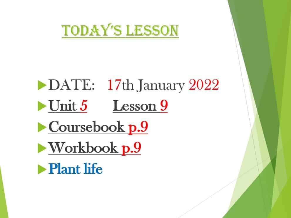 حل درس Plant life اللغة الإنجليزية الصف الحادي عشر - بوربوينت 