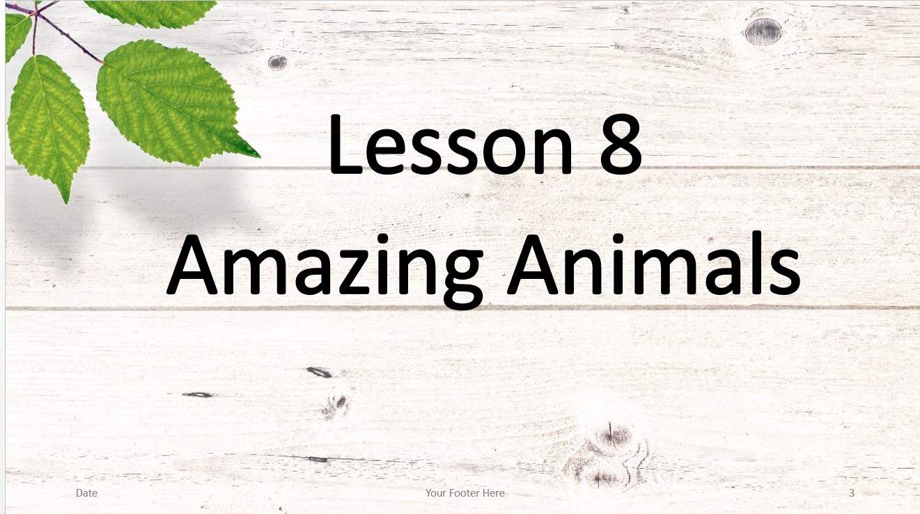 درس Amazing Animals اللغة الإنجليزية الصف الثامن - بوربوينت