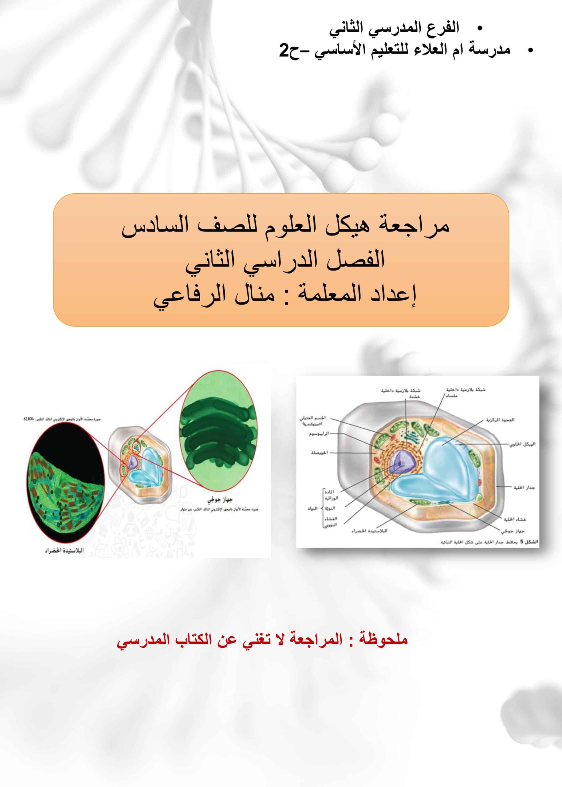 مراجعة على حسب الهيكل العلوم المتكاملة الصف السادس