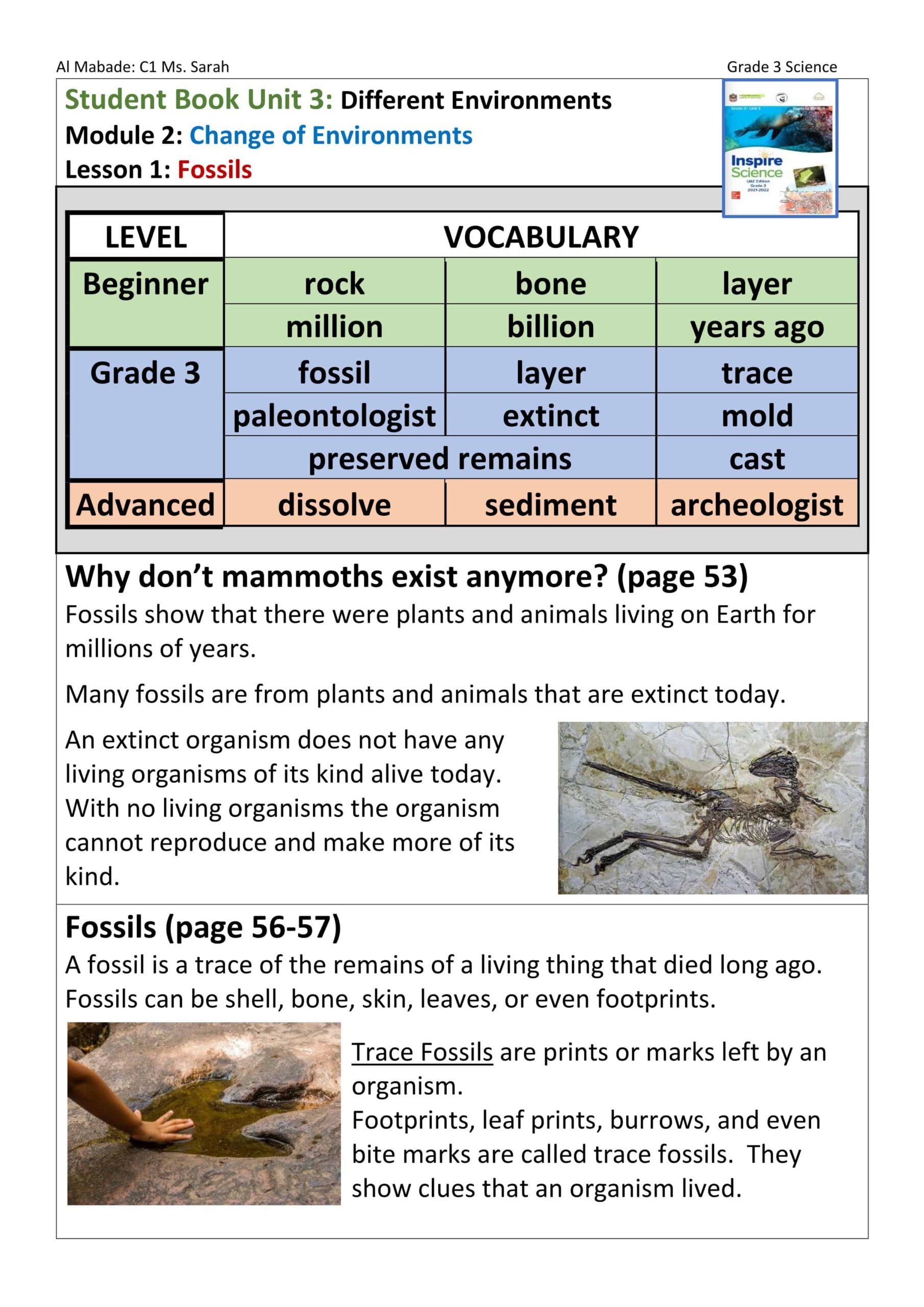 ملخص Fossils بالإنجليزي العلوم المتكاملة الصف الثالث