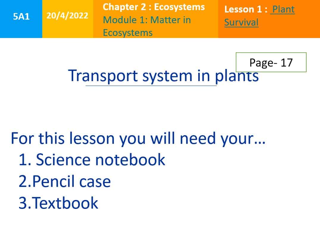 حل درس Transport system in plants العلوم المتكاملة الصف الخامس - بوربوينت
