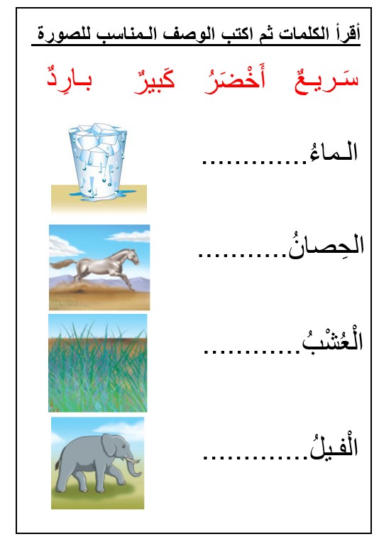 أوراق عمل تدريبات القراءة اللغة العربية الصف الأول - بوربوينت 