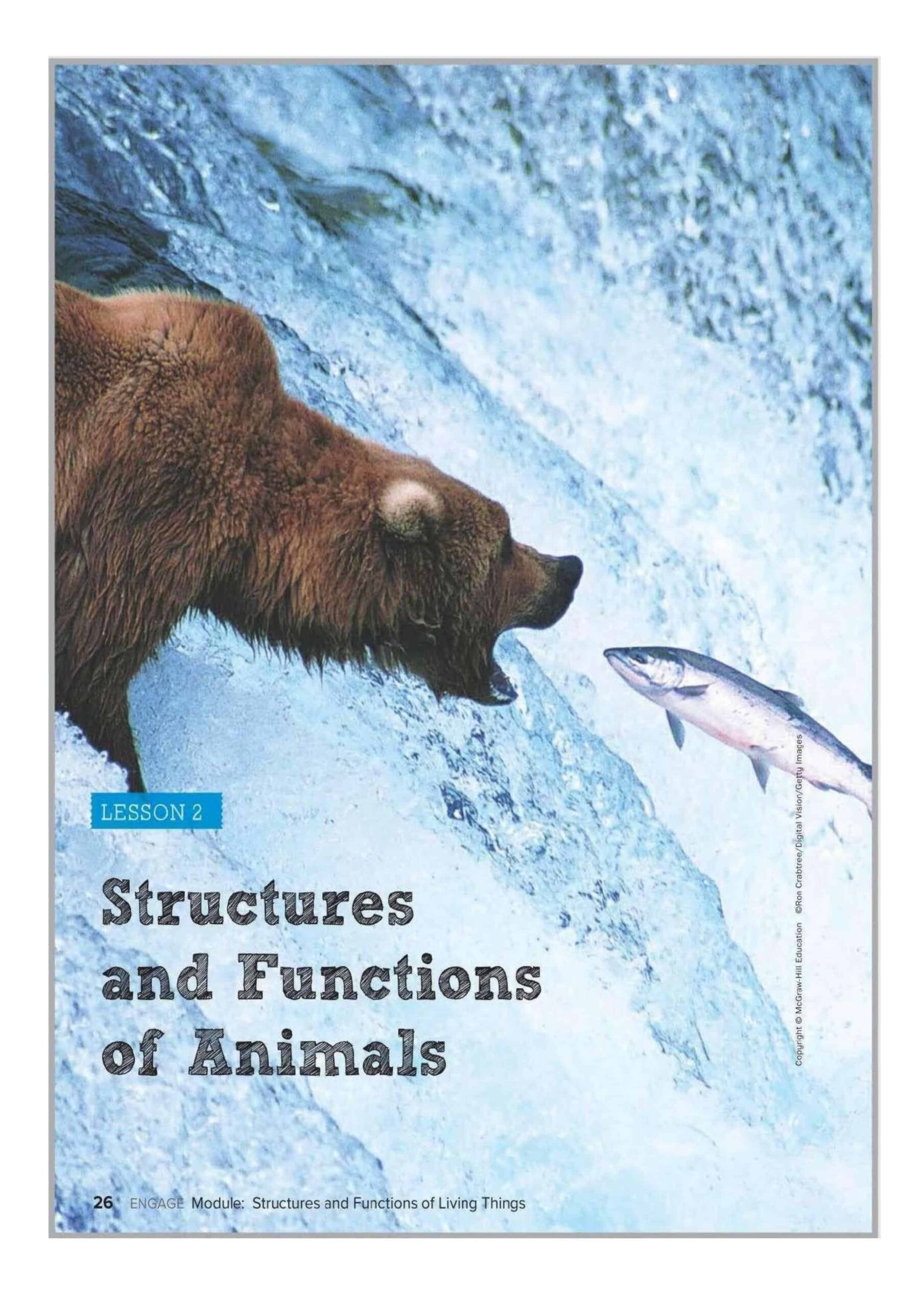 حل درس structure and functions of Animals العلوم المتكاملة الصف الرابع