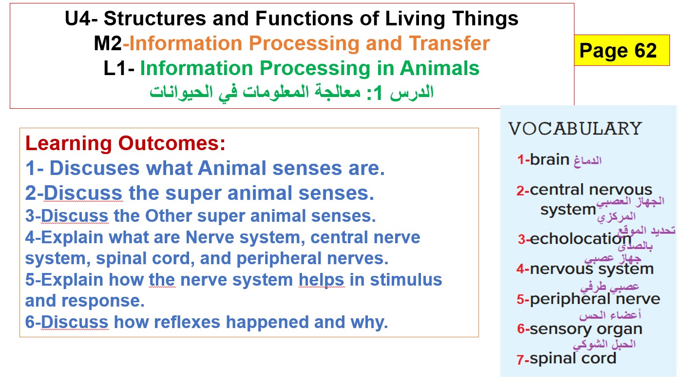 ملخص درس Information Processing in Animals العلوم المتكاملة الصف الرابع - بوربوينت
