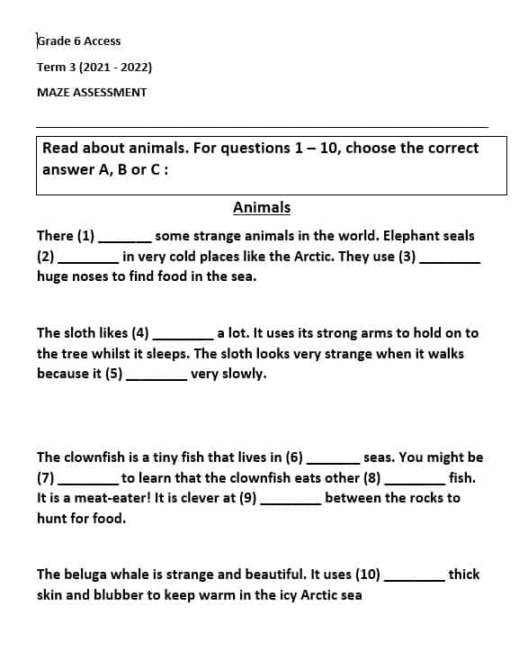 أوراق عمل MAZE ASSESSMENT اللغة الإنجليزية الصف السادس Access