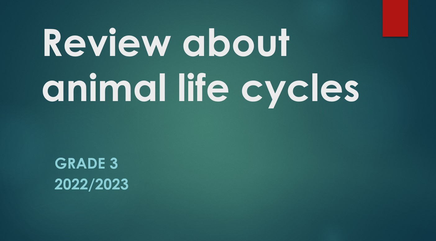 مراجعة Review about animal life cycles العلوم المتكاملة الصف الثالث - بوربوينت 
