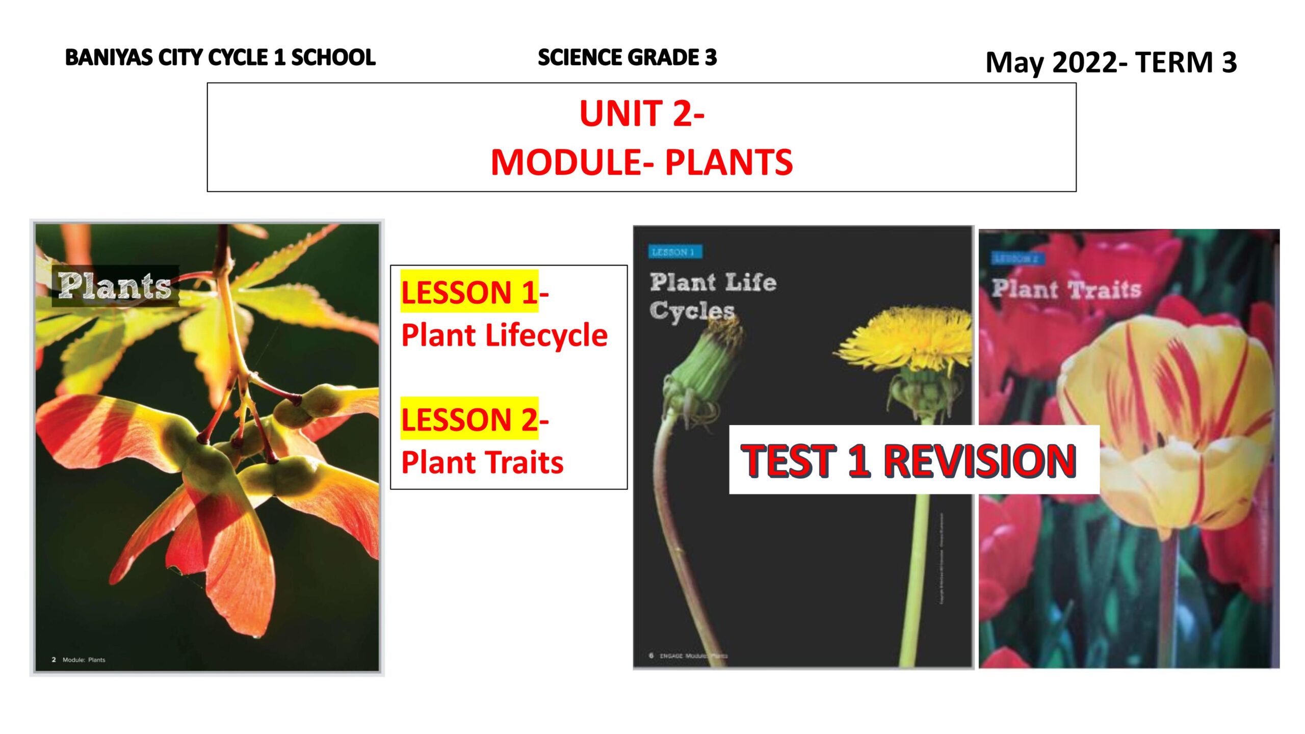 مراجعة PLANTS العلوم المتكاملة الصف الثالث