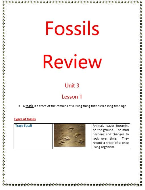 مراجعة Fossils Review بالإنجليزي العلوم المتكاملة الصف الثالث