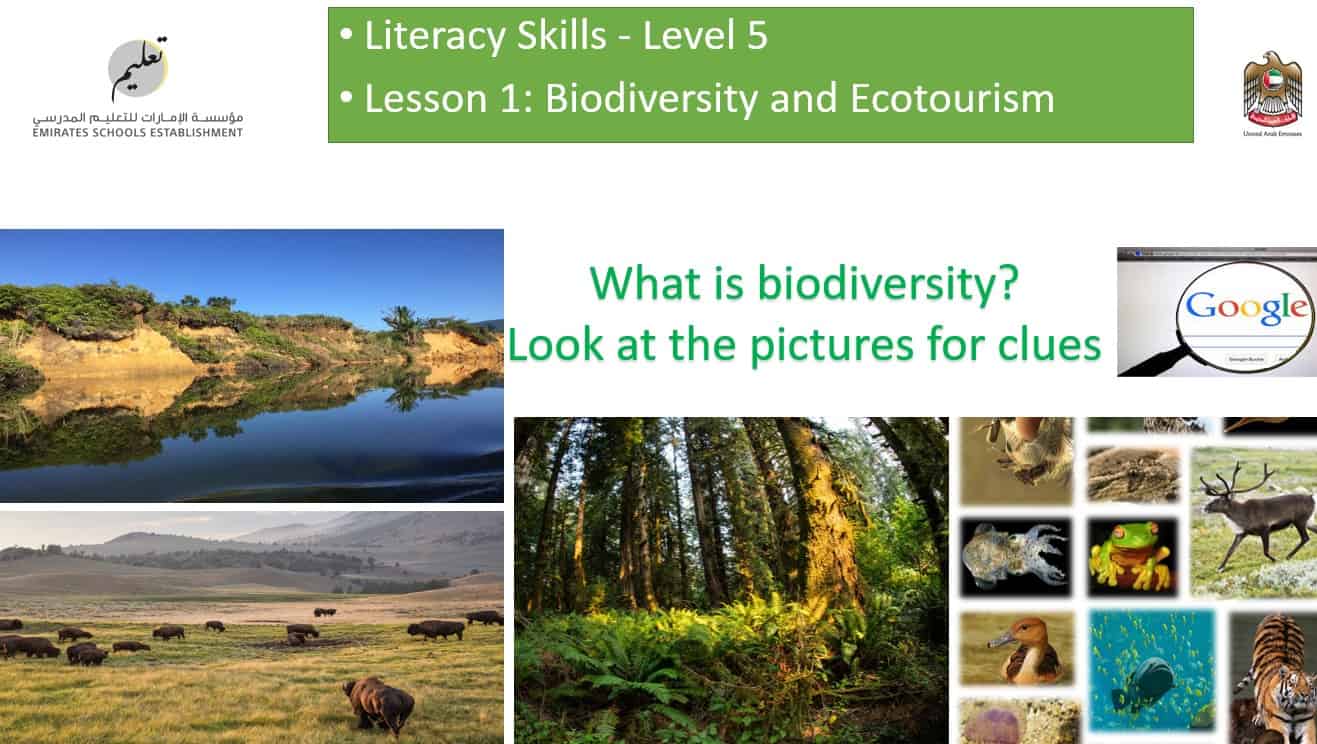 درس Biodiversity and Ecotourism اللغة الإنجليزية الصف الثاني عشر - بوربوينت