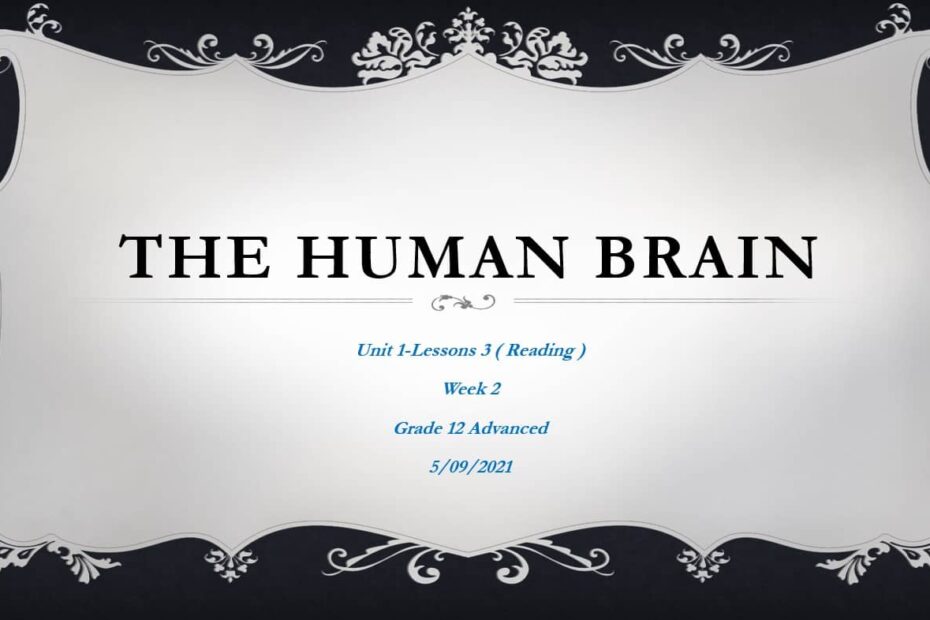 درس The Human Brain اللغة الإنجليزية الصف الثاني عشر - بوربوينت