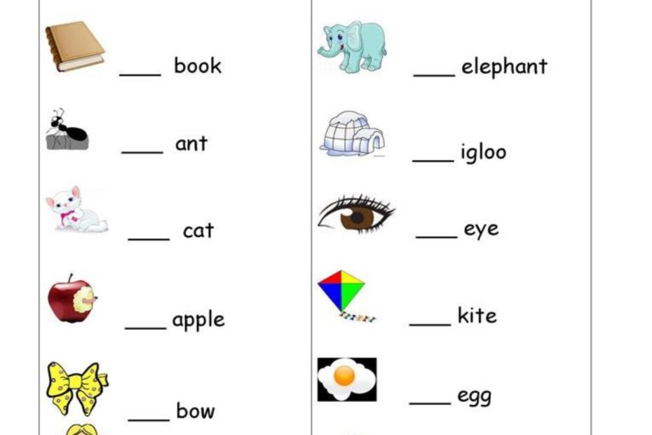 أوراق عمل a or an اللغة الإنجليزية الصف الثاني